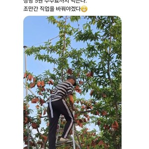 한국와서 월 천 버는 베트남 노동자