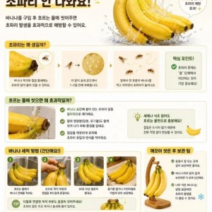바나나 사면 바로 씻어야 하는 이유