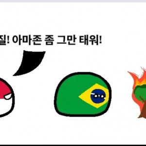 브라질이 아마존을 불태우는 방법 