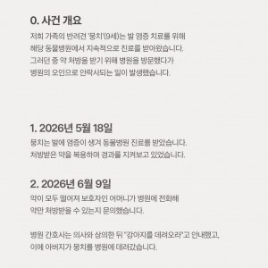 동물병원에 약 타러 갔다가 안락사 당한 강아지