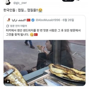 껍질을 제거한 튀르키예의 생선 샌드위치