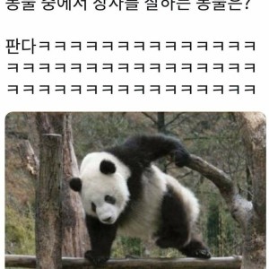 동물 중에 장사를 젤 잘하는 동물은? | 인스티즈