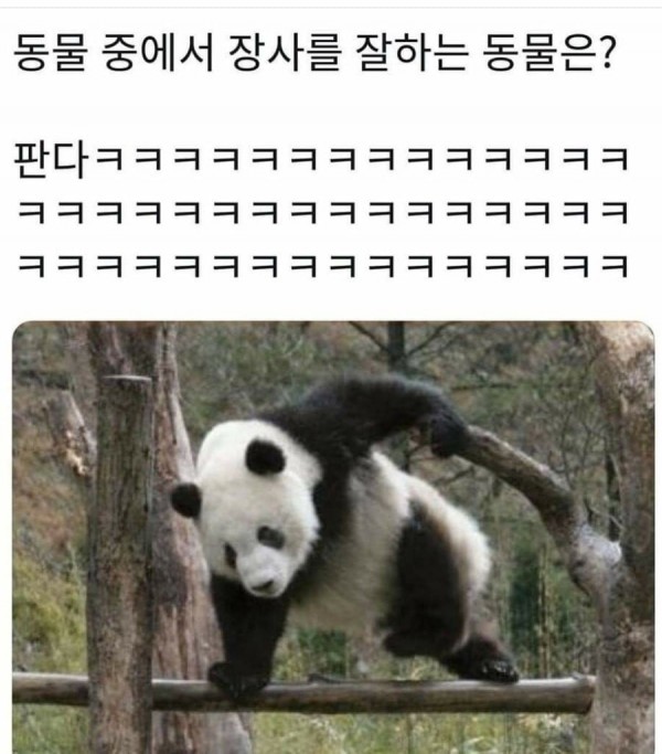 동물 중에 장사를 젤 잘하는 동물은? | 인스티즈