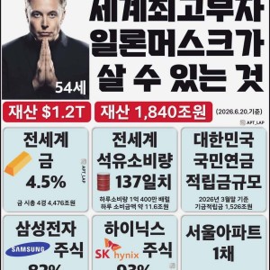일론 머스크 재산으로 살 수 있는 것