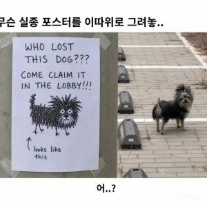 무슨 실종 포스터를 이따위로 그려놓...jpg | 인스티즈