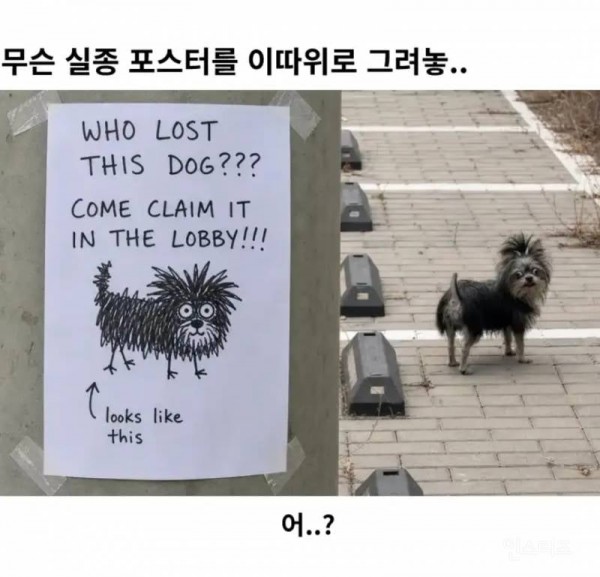 무슨 실종 포스터를 이따위로 그려놓...jpg | 인스티즈