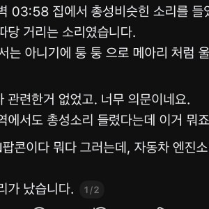 쓰레드에 퍼지고 있는 “지금 총소리 들은 사람?”