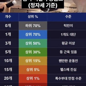정자세 기준 남성 턱걸이 등급표
