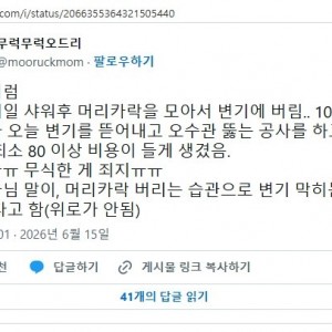 10년동안 매일매일 샤워후 머리카락 모아 변기에 버린 결과