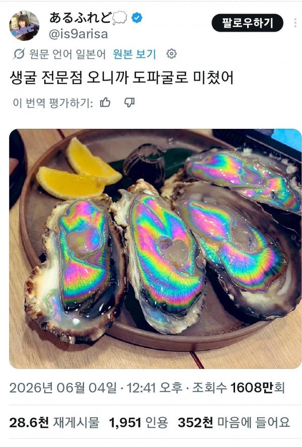 IMG_3418.jpeg 굴 전문점의 생굴이 굉장하다