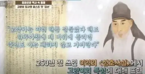 옛날에도 고양이는 고양이였다