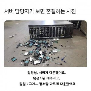 서버 담당자가 보면 혼절하는 사진