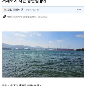 거제도 출신이 말하는 장점과 단점
