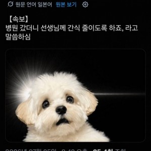 멍몽이들에게는 날벼락같은 소식이래