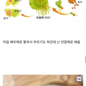 2년된 망한 테라리움 개봉기