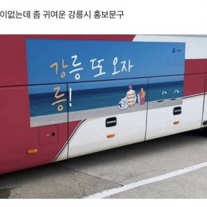 대충 지은 강릉 홍보 문구의 내용을 보여주는 이미지