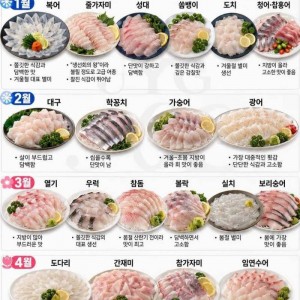월별 제철 생선회 총정리