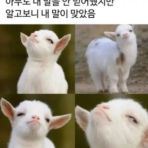 아무도 안 믿었는데 결국 내 말이 맞았을 때 