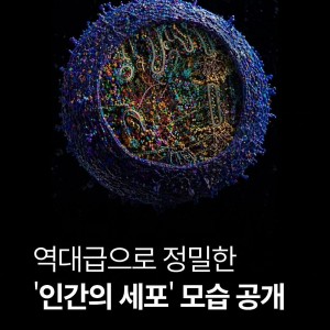 역대 가장 정밀한 '인간 세포'의 모습 공개 