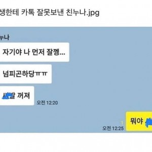 동생한테 카톡 잘못보낸 누나