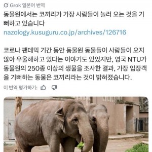 동물원에서 사람이 오면 제일 기뻐하는 동물의 내용을 보여주는 이미지