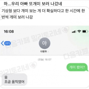 아빠가 날씨 확인할때 쓴다는 방법