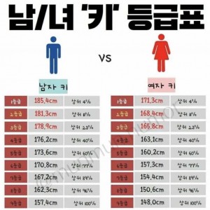 한국 남녀 키 등급표