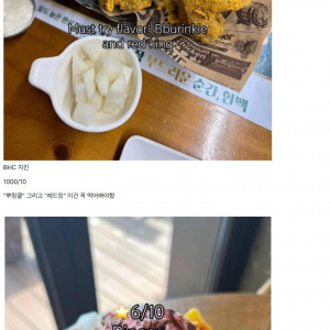 한 서양인 관광객이 평가한 한국 음식 티어 