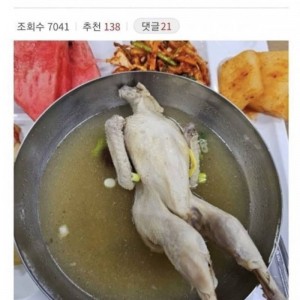 앙상한 삼계탕
