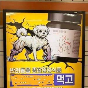 엄마 더는 아프지 않아요