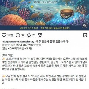 특이점이 온 제주도 템플스테이