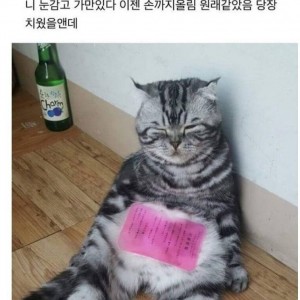 누가보면 소주 먹고 뻗은 줄
