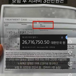 뉴욕 치과 치료비