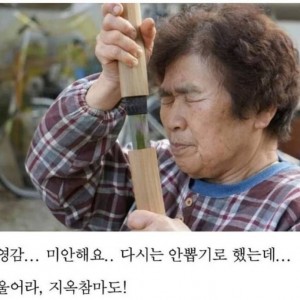 울어라!