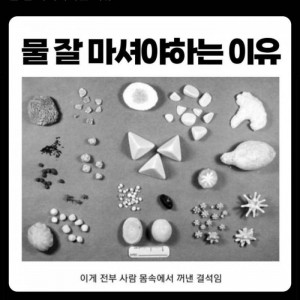물 잘 마셔야하는 이유