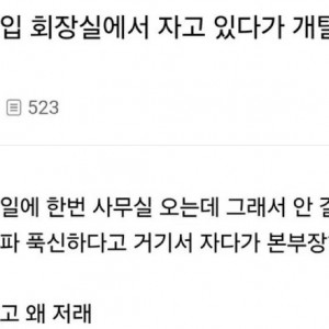 30대 신입 회장실에서 자고 있다가 개털림