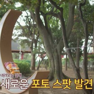 [라면먹고올래] ??? : 왜 나는 어린 왕자 이런 이야기 안해 주는 거야???