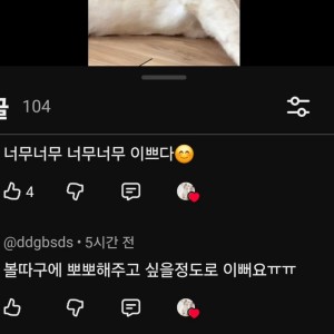 신종 사자맘 등장
