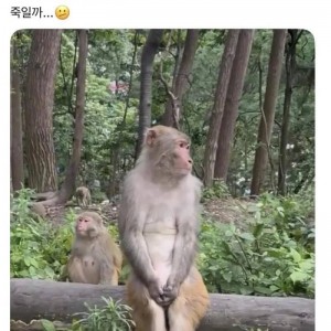 남편차 기다리는 아내 모습의 내용을 보여주는 이미지