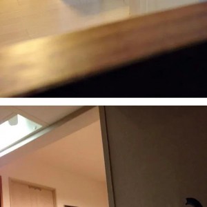 신랑이 데리고 온 고양이가 자꾸 절 훔쳐봐요