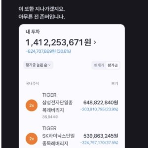 삼전닉스 레버리지 20억 몰빵한 사람 ㅎ