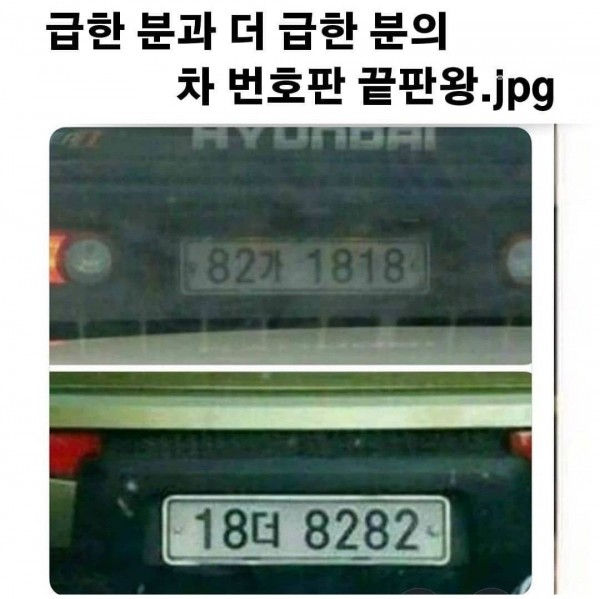 해리포터 유머
