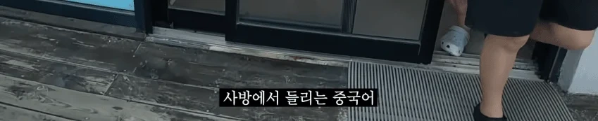 충격) 제주도 시내거리 모습