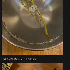 포도가 맛있었던 식물갤러의 포도 번식 후기