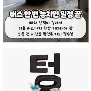 찐들만 아는 찐 시골 특징 모음