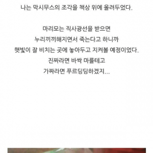 충격적인 반려식물의 정체