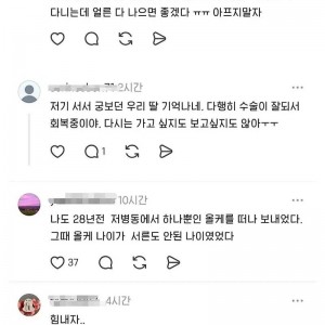 아는 사람만 안다는 너무 슬픈 창경궁 뷰