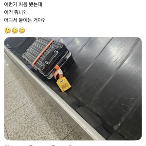 캐리어에 이거 달려 보신 분