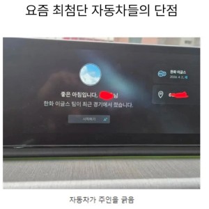 요즘 최첨단 자동차의 단점