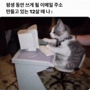 사람들의 이메일 주소가 이불킥을 부르게 되는 이유